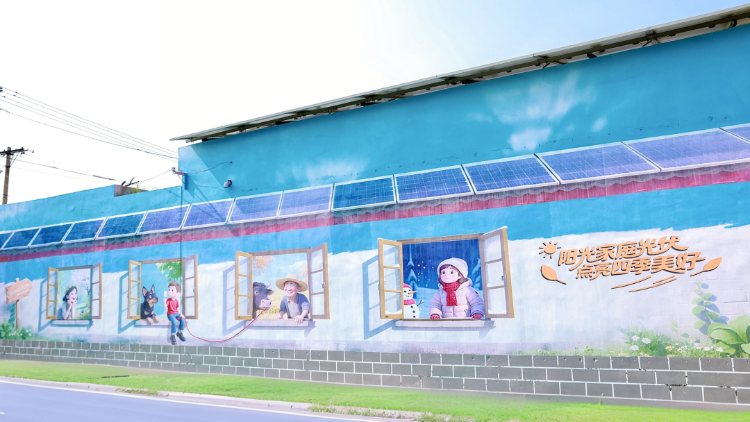 “97后”女村长，带全村“种太阳”