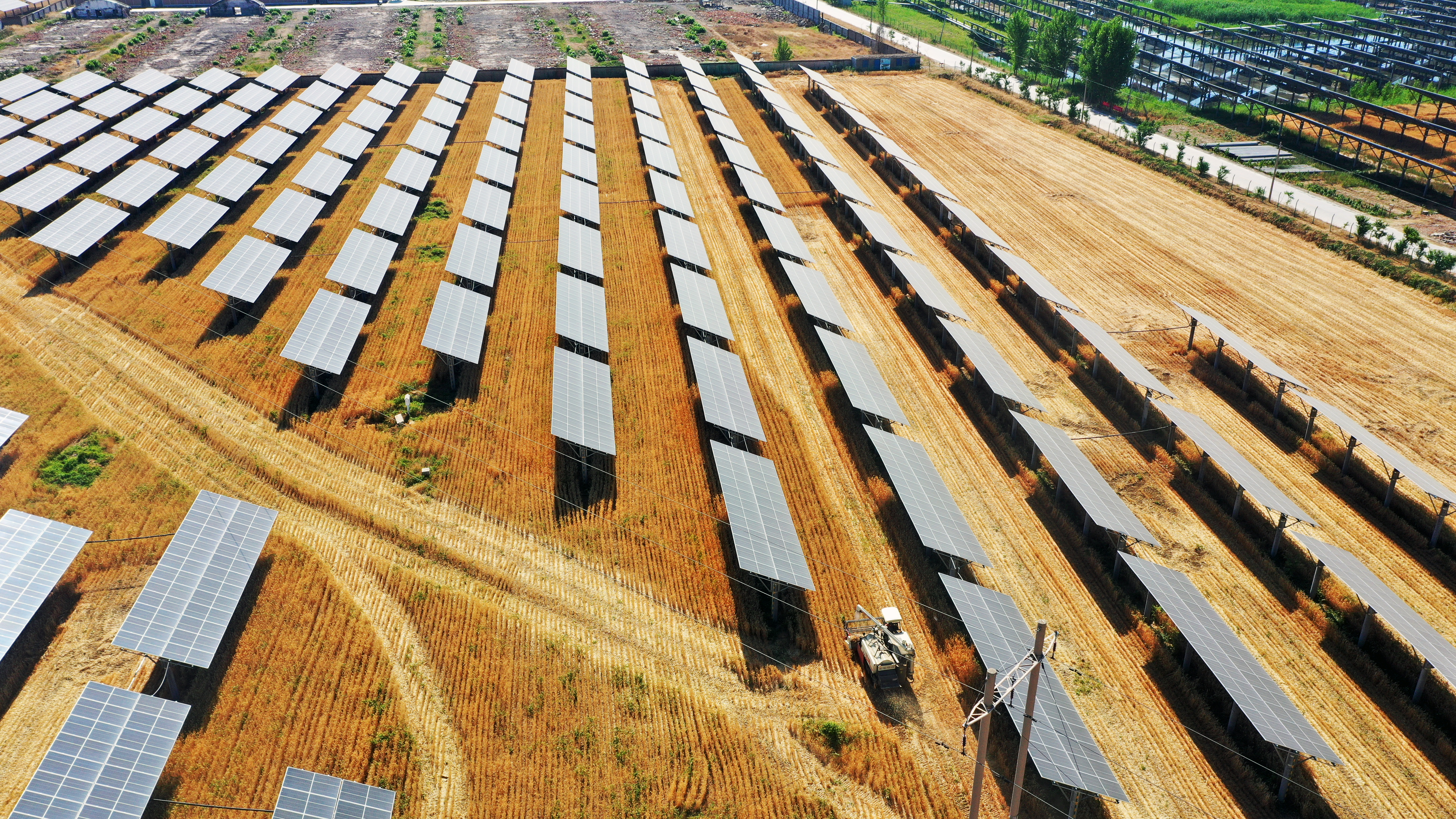 山东滕州50MW农光互补电站项目