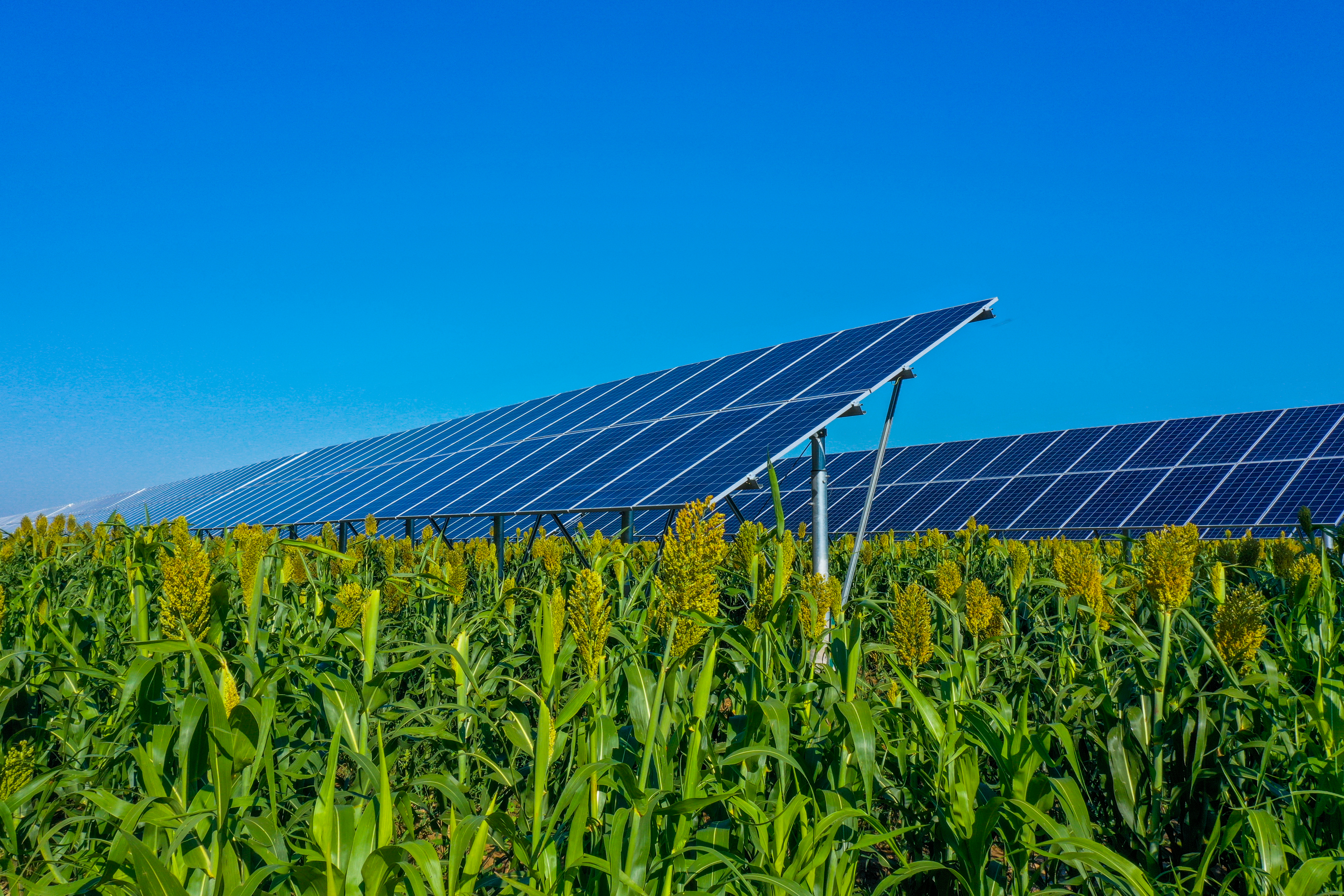 山西繁峙100MW农光互补电站项目1