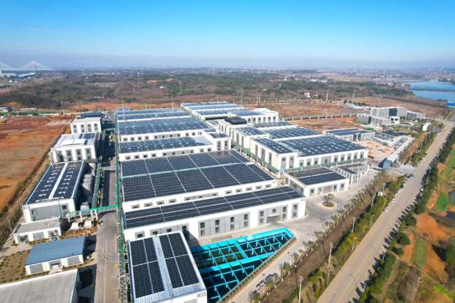 闪耀时刻 | 阳光工商业光伏再掀并网潮！