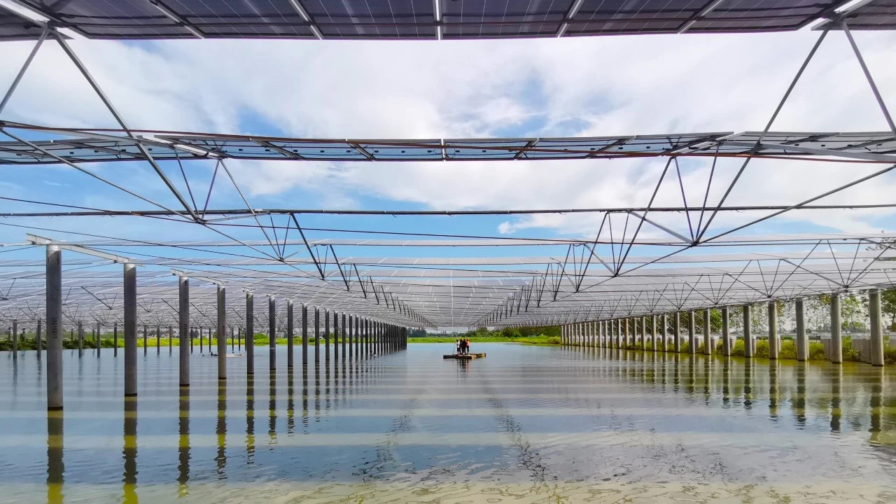 湖北洪湖200MW渔光互补柔性支架项目