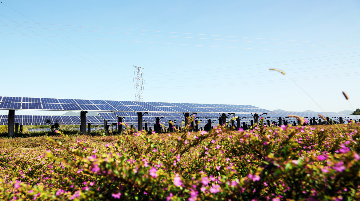 广东仁化150MW土壤修复与光伏发电综合利用示范项目